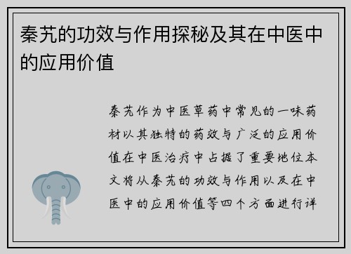 秦艽的功效与作用探秘及其在中医中的应用价值
